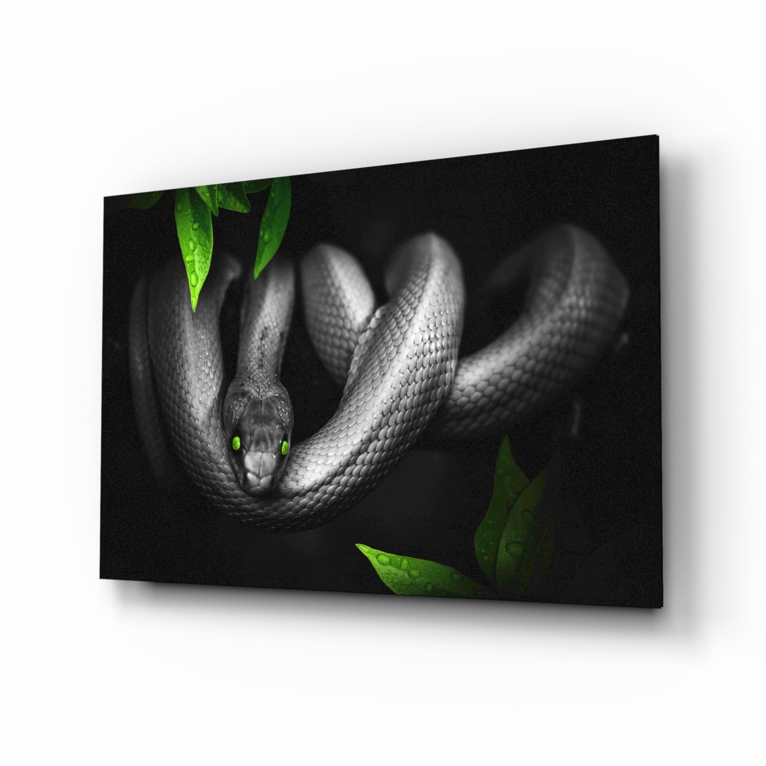 Snake Glass Wall Art