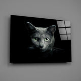 Cat Glass Wall Art