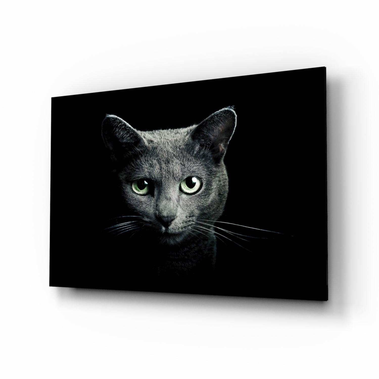 Cat Glass Wall Art