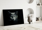 Cat Glass Wall Art