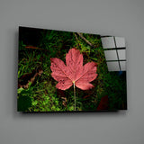 Pink Leaf Glass Wall Art