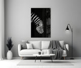 Zebra Glass Wall Art