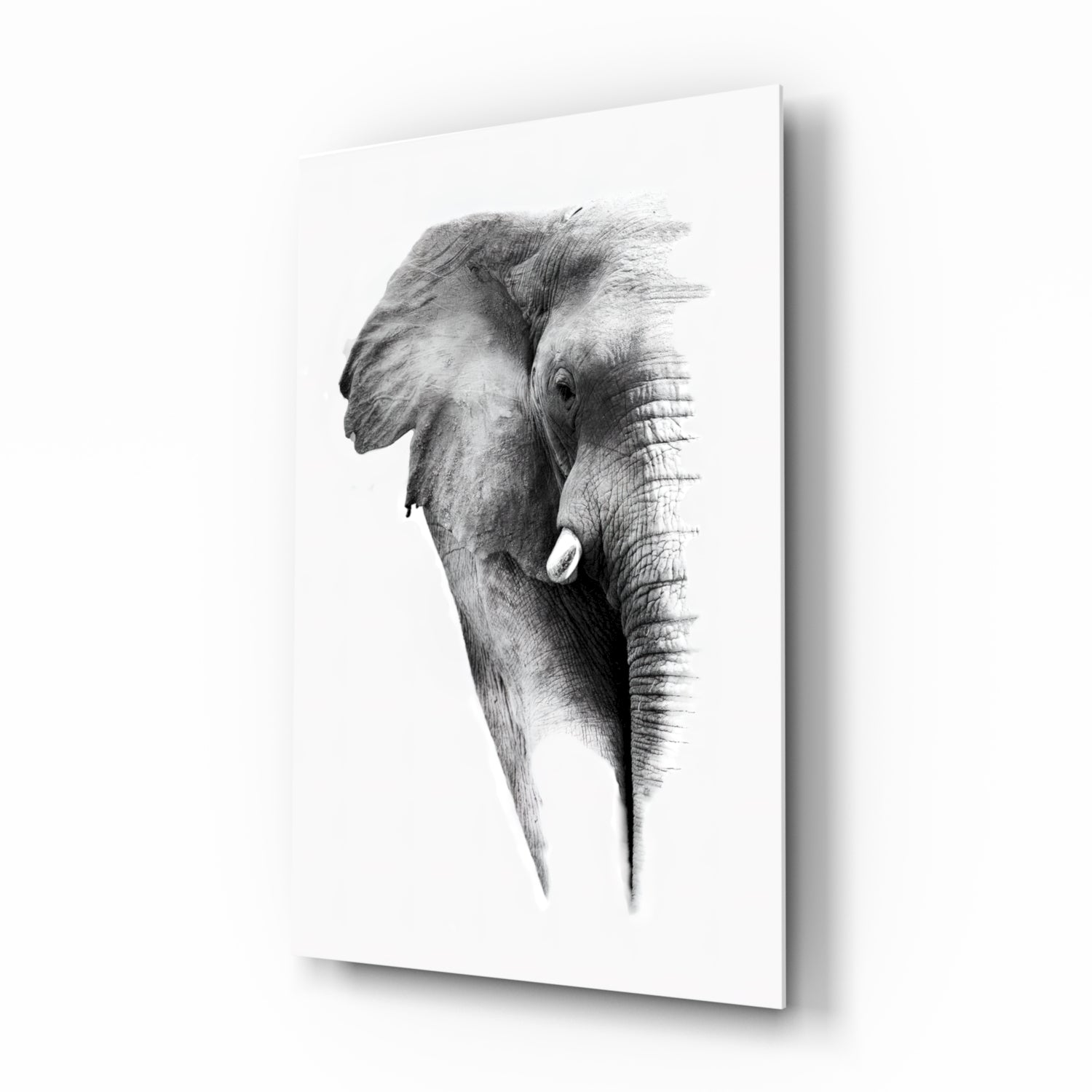 Elephant Glass Wall Art