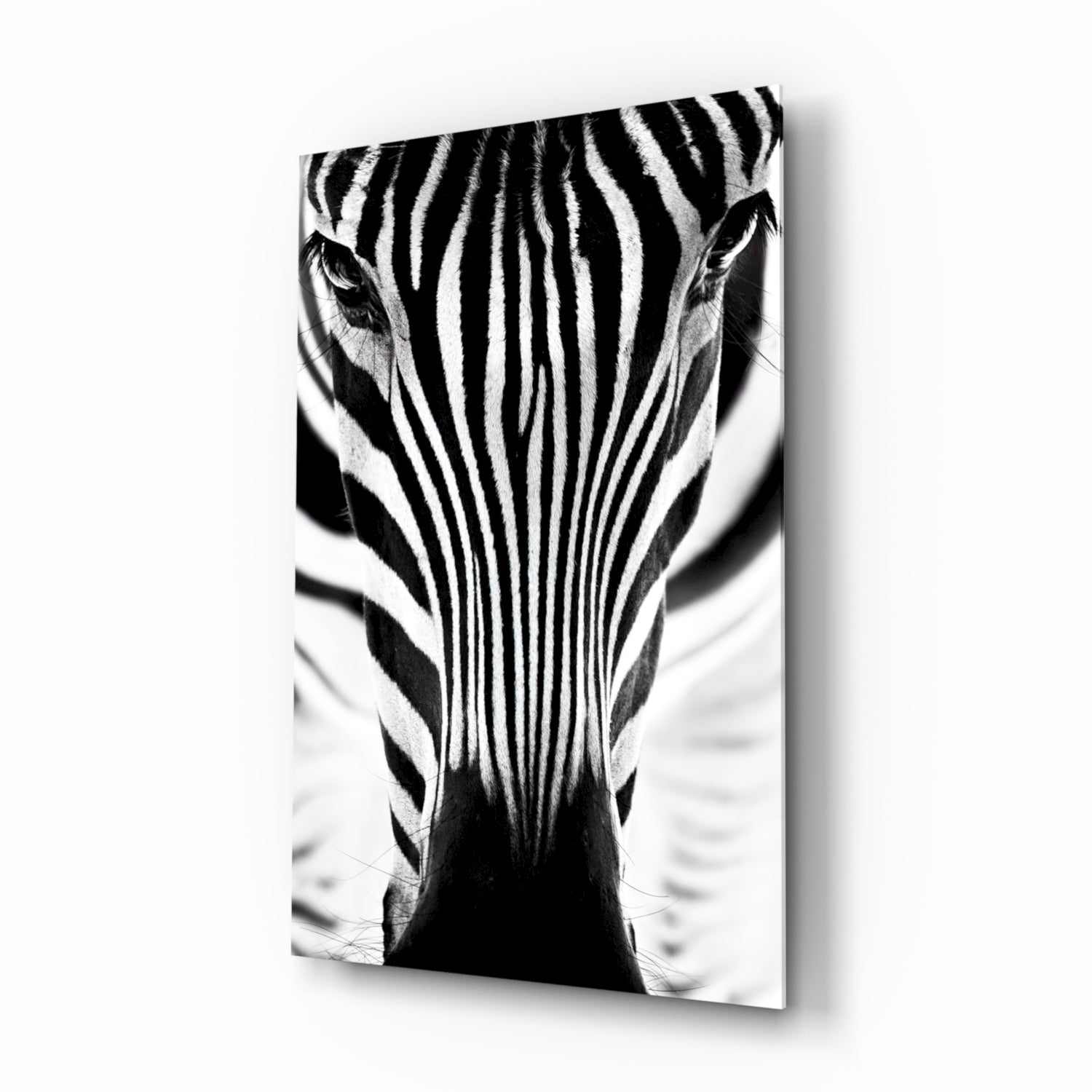 Zebra Glass Wall Art