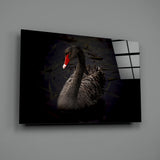 Black Swan Glass Wall Art