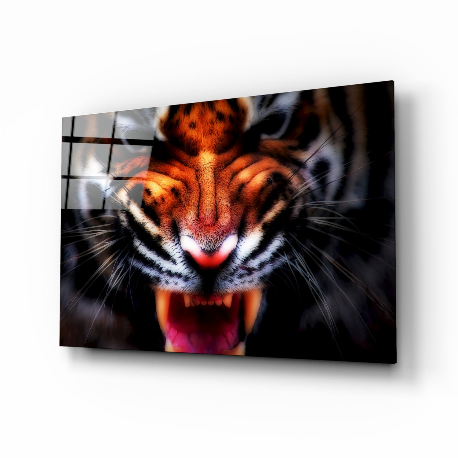 Anger of a Tiger Glass Wall Art