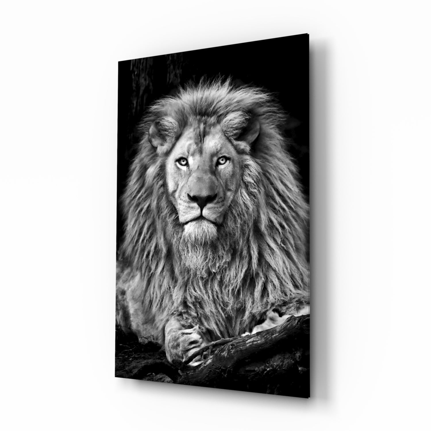 Lion Glass Wall Art