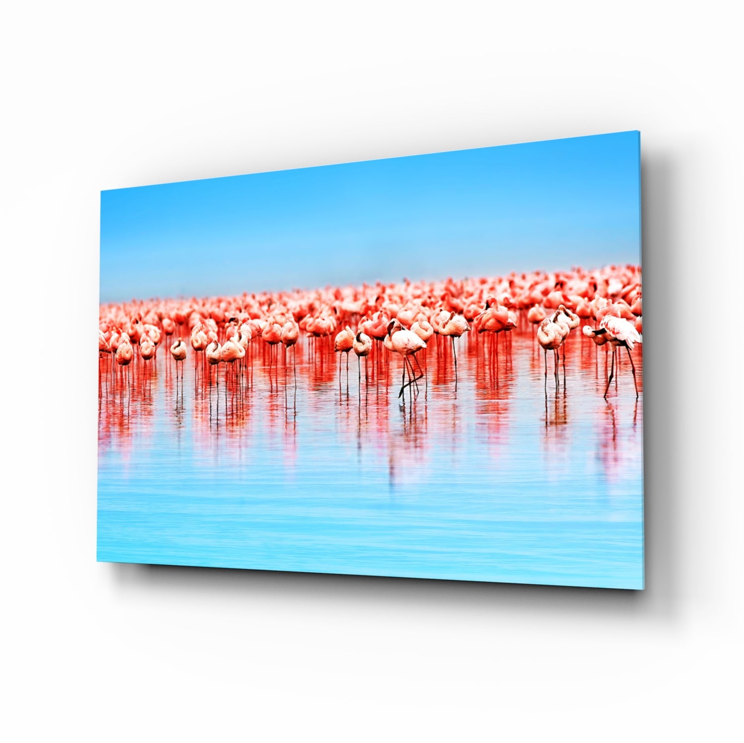 Flamingos Glass Wall Art