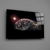 Deepsea Fish Glass Wall Art