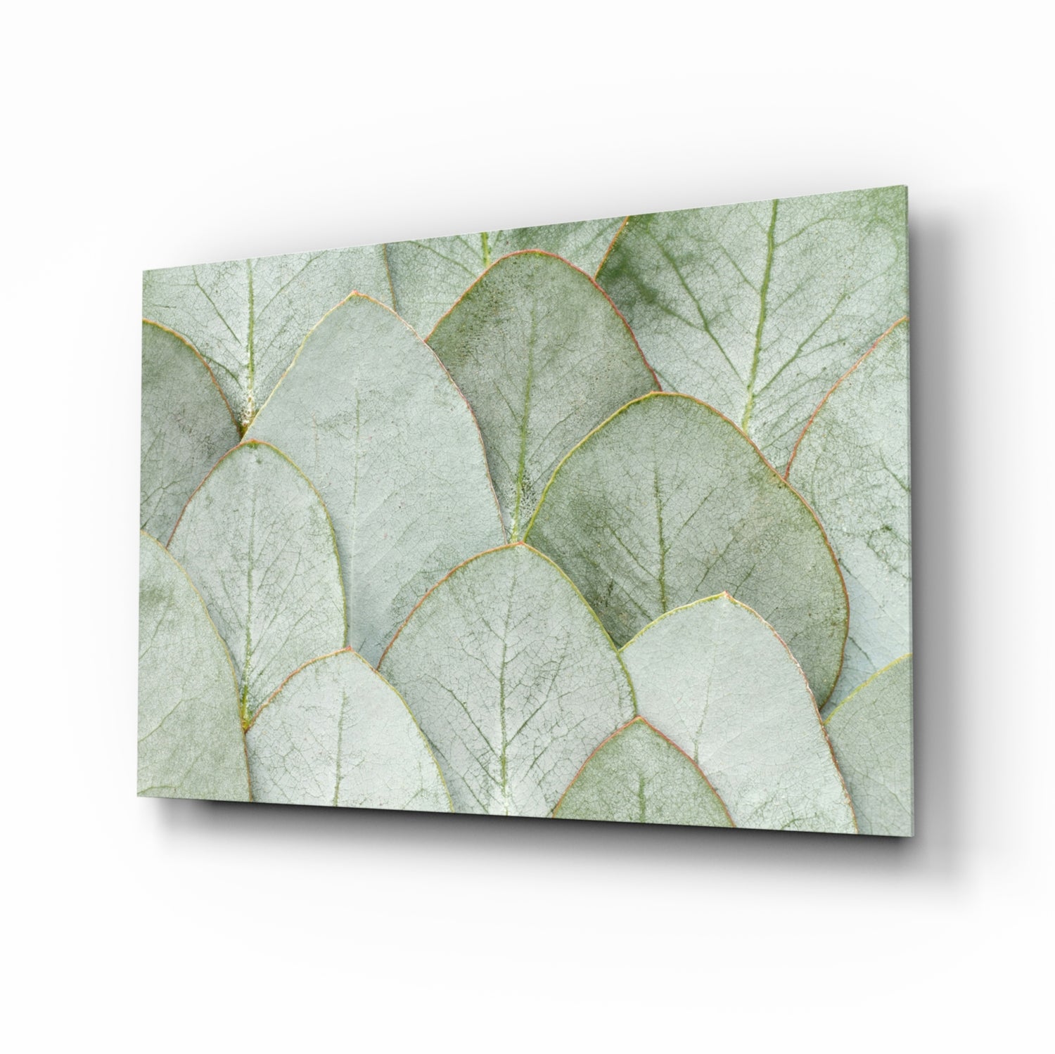 Botanical Glass Wall Art