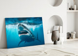 Shark Glass Wall Art