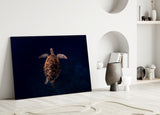 Tortoise Glass Wall Art