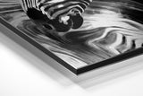 Brushed Aluminium Dibond Wall Art