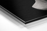 Brushed Aluminium Dibond Wall Art