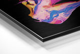 Brushed Aluminium Dibond Wall Art