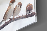 Birds Glass Wall Art