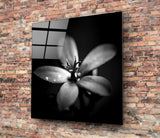 Flower Glass Wall Art