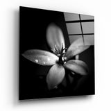 Flower Glass Wall Art