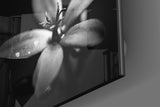 Flower Glass Wall Art