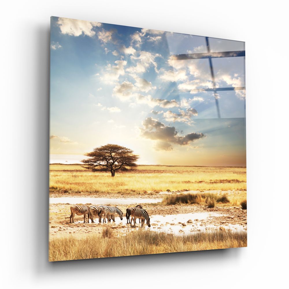 Africa (Wide Meadow) Glass Wall Art