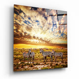 Zebras Glass Wall Art