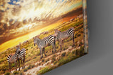 Zebras Glass Wall Art