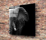 Elephant Glass Wall Art