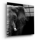 Elephant Glass Wall Art