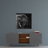 Elephant Glass Wall Art