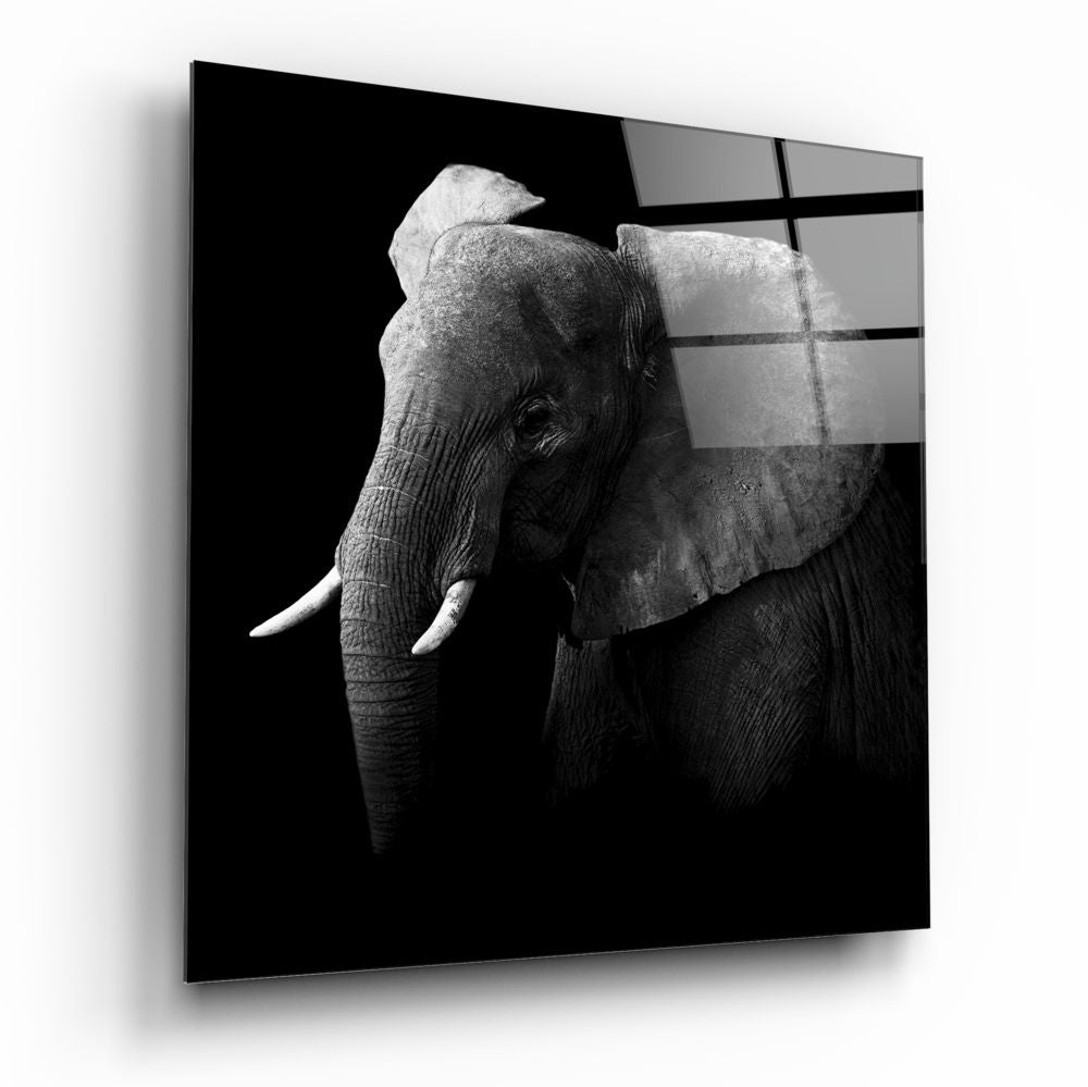 Elephant Glass Wall Art