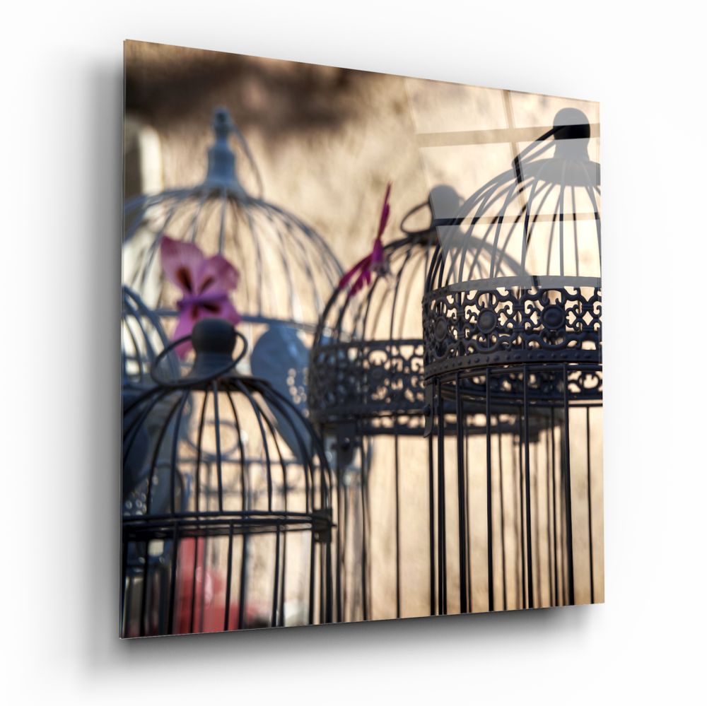 Bird Cage Glass Wall Art