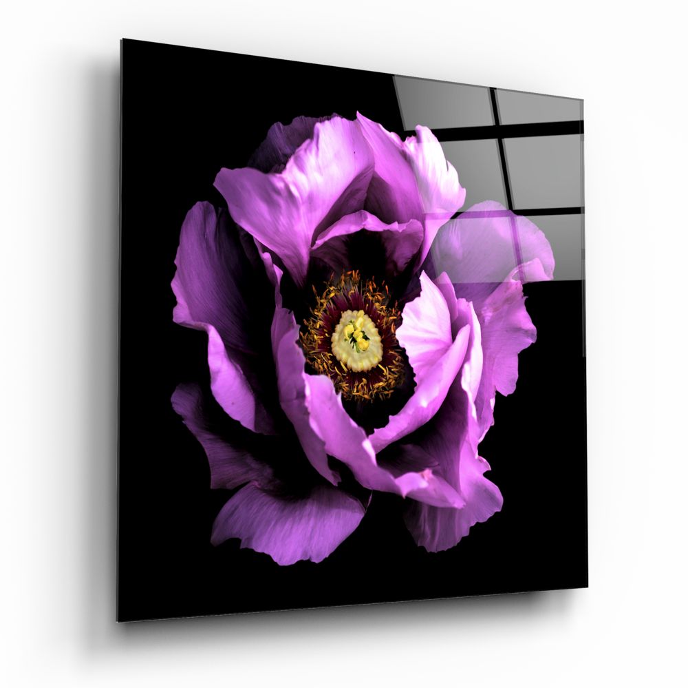 Floral Pink Glass Wall Art