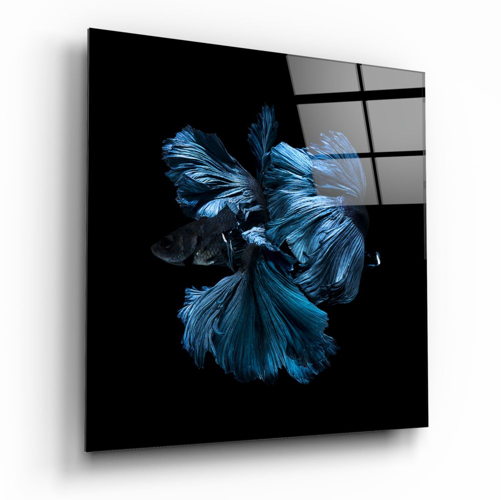 Betta Fish Glass Wall Art