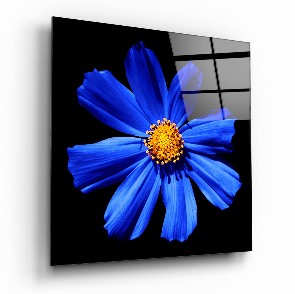 Blue Flower Glass Wall Art