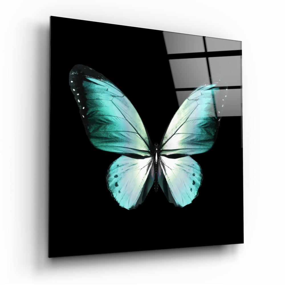 The Elegance of the Butterfly Glass Wall Art