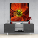 Flower Glass Wall Art | Insigne Art Design