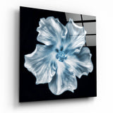 Flower Glass Wall Art | Insigne Art Design