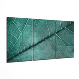 Leaf Texture Glass Wall Art | Insigne Art Design