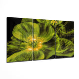 Flower Glass Wall Art | Insigne Art Design