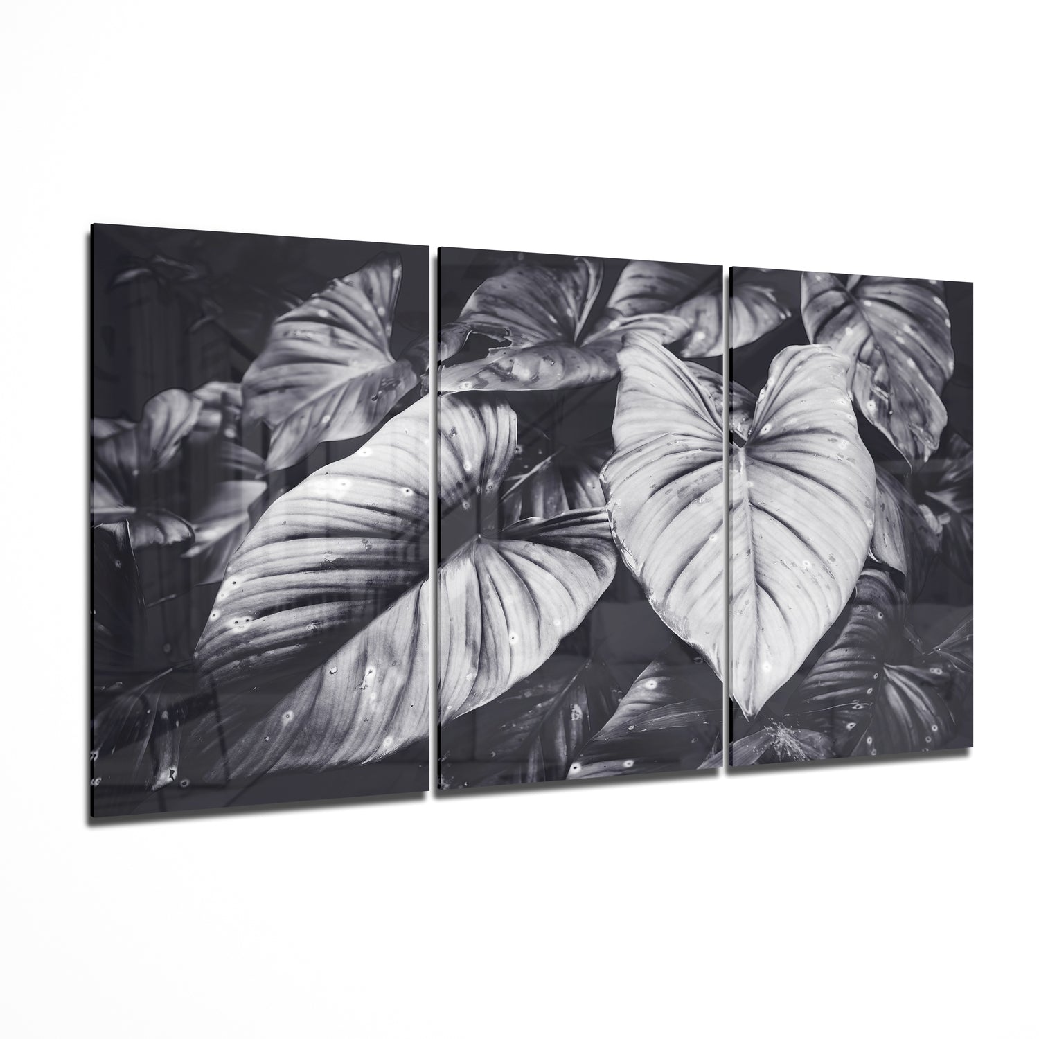 Leaves Glass Wall Art | Insigne Art Design