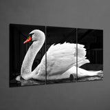 Swan Glass Art | Insigne Art Design