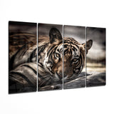 Tiger 4 Pieces Mega Glass Wall Art (59"x36") | Insigne Art Design