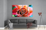 Rose 4 Pieces Mega Glass Wall Art (59"x36") | Insigne Art Design