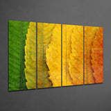 Autumn Leaves 4 Pieces Mega Glass Wall Art (59"x36") | Insigne Art Design