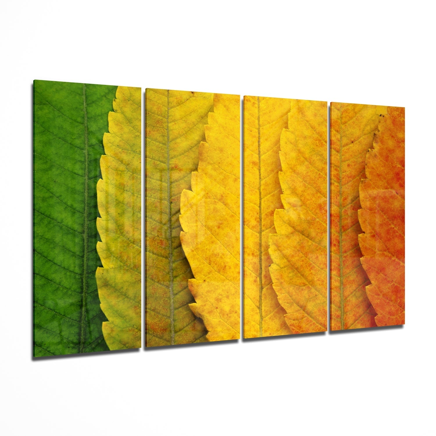 Autumn Leaves 4 Pieces Mega Glass Wall Art (59"x36") | Insigne Art Design