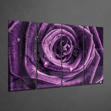 Purple Rose 4 Pieces Mega Glass Wall Art (59"x36") | Insigne Art Design