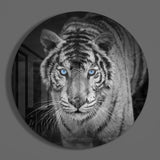 Tiger Glass Wall Art