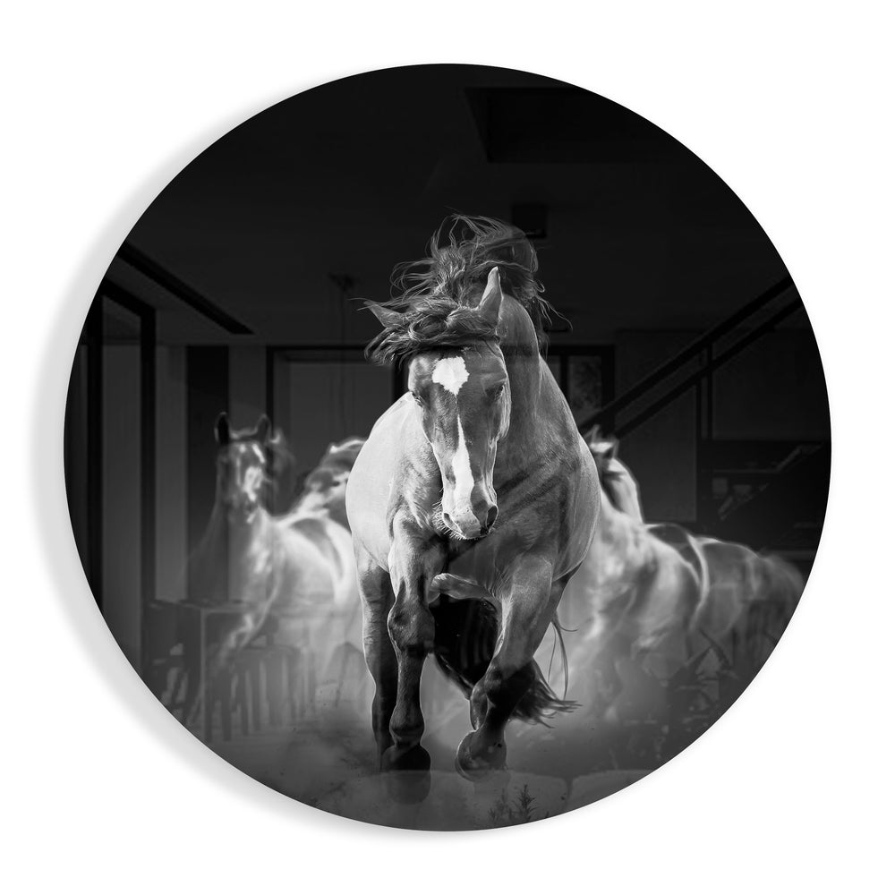 Horses Glass Wall Art