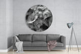 Elephant Glass Wall Art