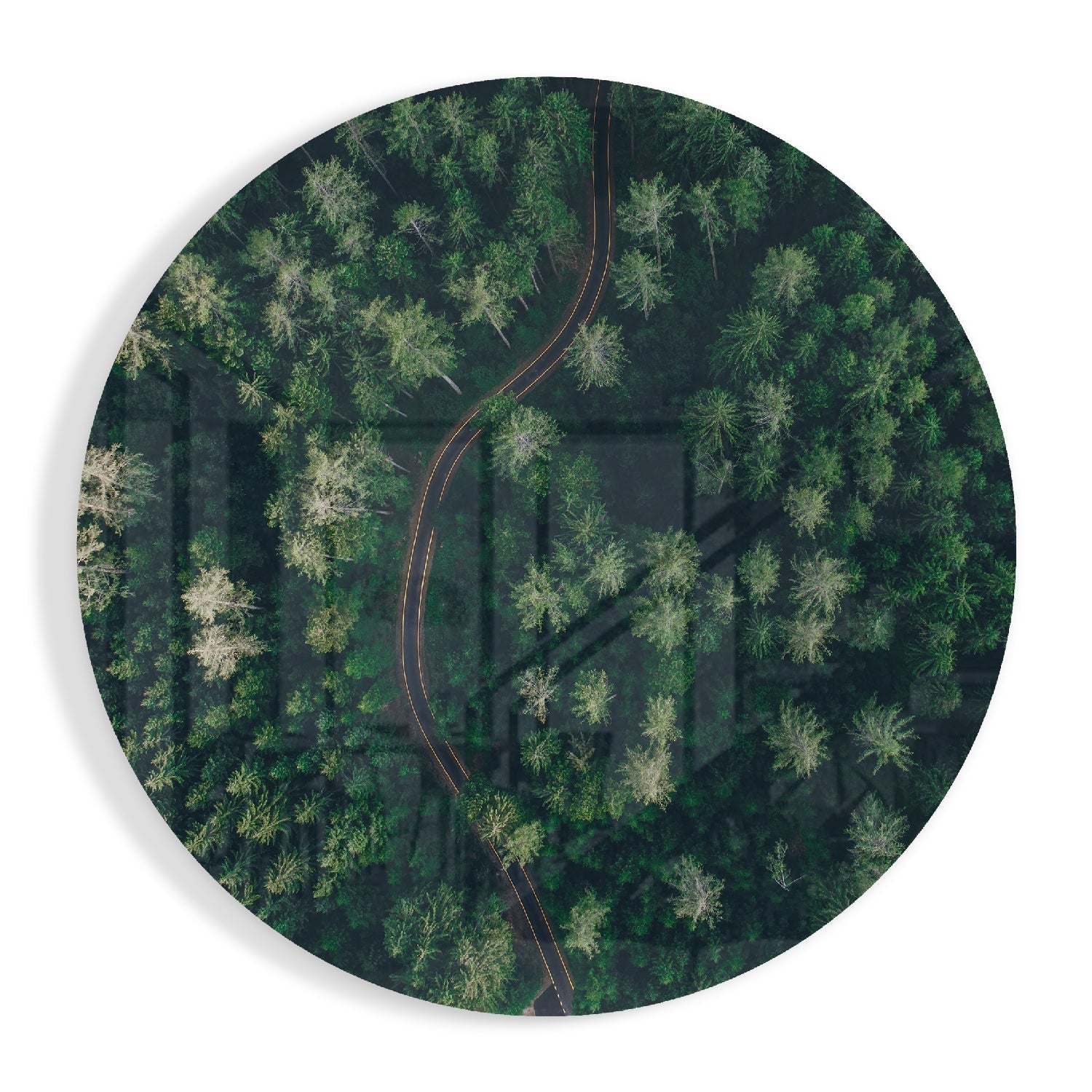 Green Forest Glass Wall Art